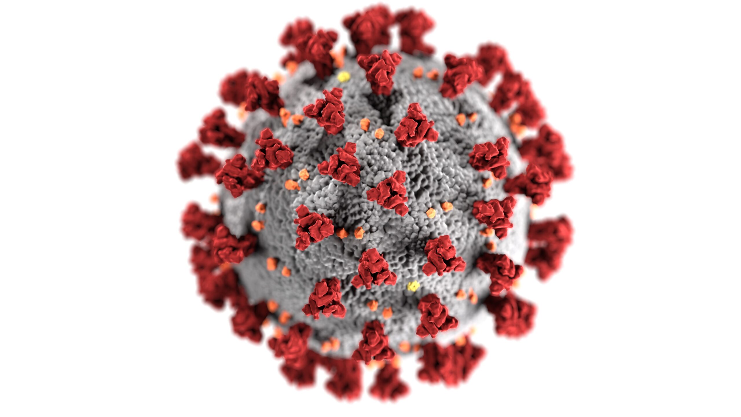 The Effect of Corona Virus Pandemic