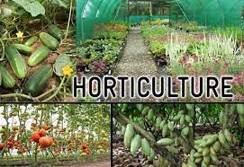 Horticulture Career 2022 -- The Dynamic world of Job Opportunity
