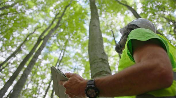 Forestry Professionals 2023-- Welcome to yet another dynamic and enterprising career